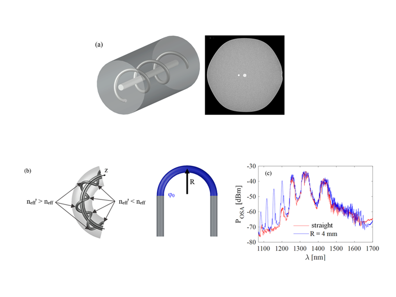 Fig. 5. Structure of the twisted dual-core optical fiber and electron microscope image of its cross-sections (a). Bent section of the twisted dual-core fiber with arrows indicating points with maximally reduced and increased effective refractive index of the mode propagating in the side core. U-shaped bend creating a long-period grating (b). Spectra recorded for the straight (red) and bent (blue) fiber when the central core is excited and the signal is collected from the side core (c). 